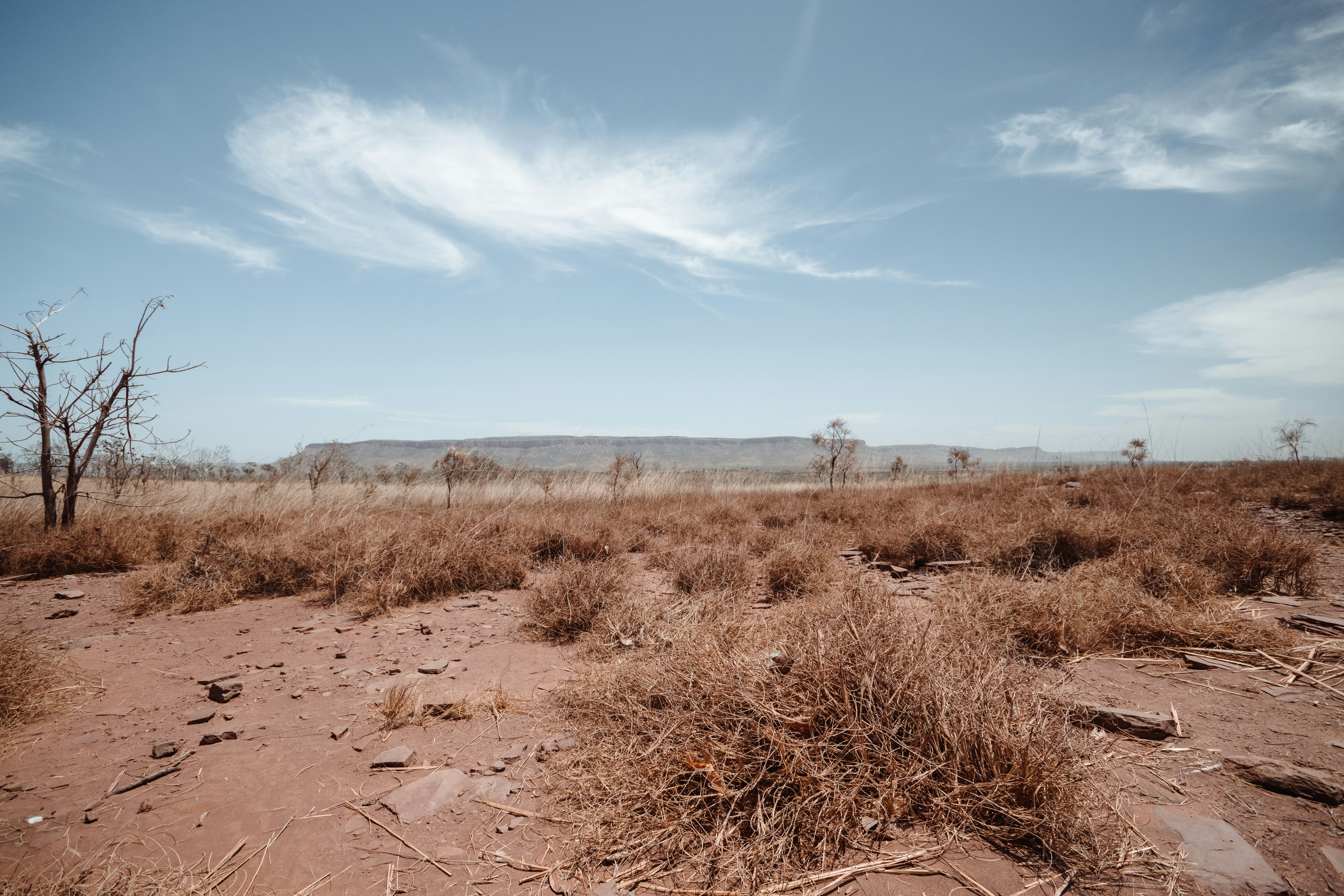 Australia could soon see megadroughts that last for more than 20 years. Photo: Fiona Smallwood/Unsplash