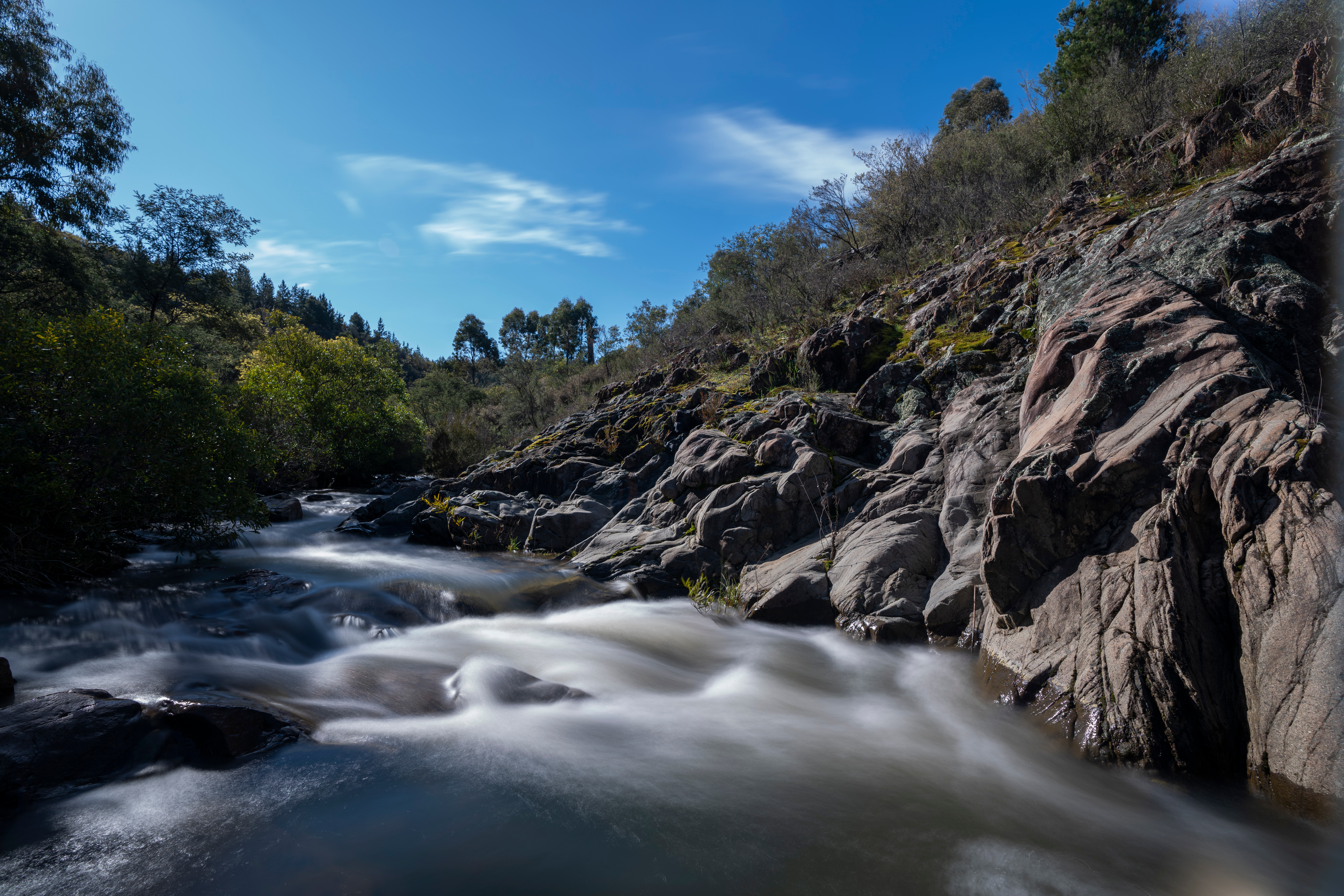 Water flows through Condor Creek in the Uriarra Forest, ACT. Photo: Lannon Harley/ANU