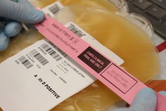 First bag cold-stored platelets 