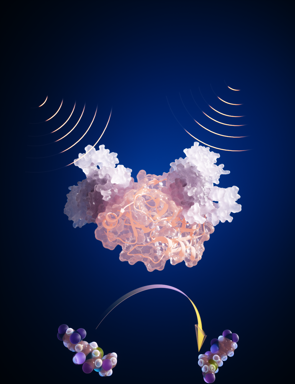 K. Alexandrov provided