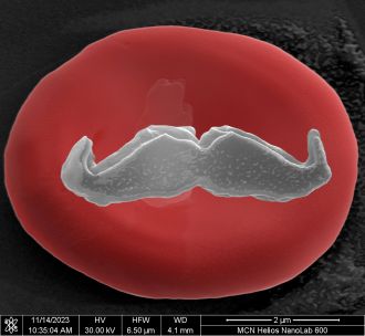 Lifeblood Micro Mo on a blood cell