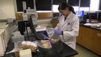 Methamphetamine Toy Testing