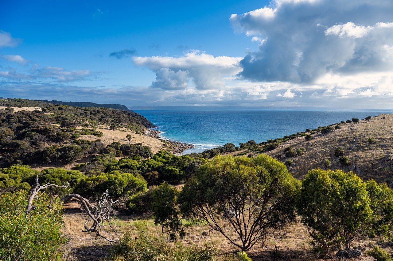 Image by xiSerge from Pixabay