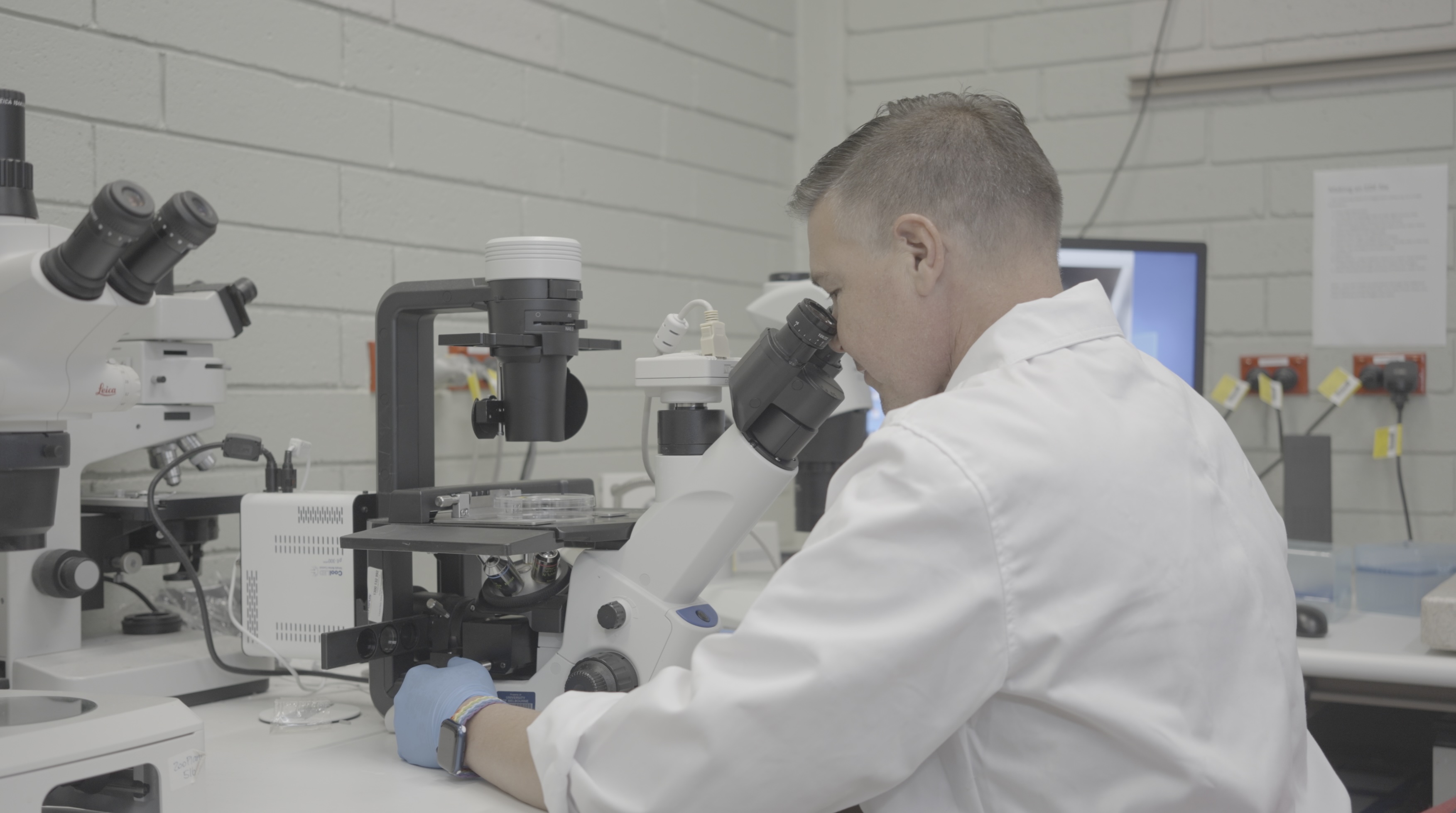 University of Melbourne Professor Andrew Pask examines a slide of genetic material.