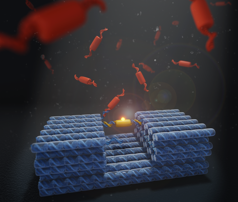 Feature image: Artistic depiction of DNA nanomachine with protein cargo, surrounded by other protein subunits in solution. Credit: Jonathan Berengut