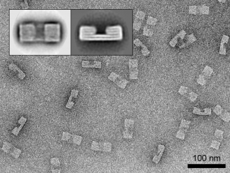 DNA origami receptors
