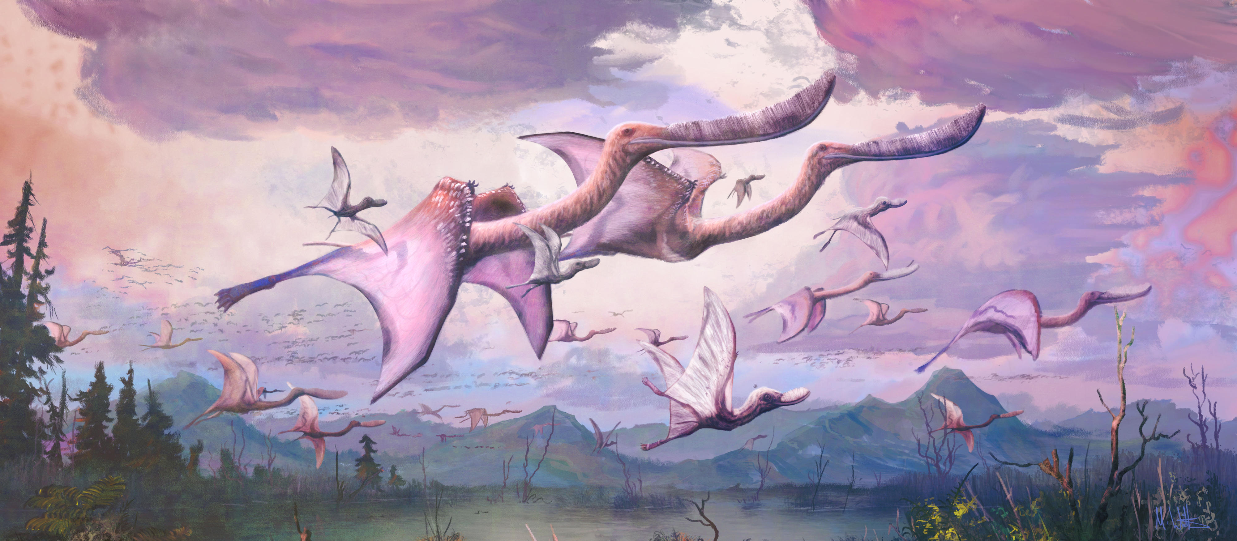 A flock of adult and hatchling flamingo-like pterosaurs, Pterodaustro guinazui, take flight in Early Cretaceous Argentina. Credit: Mark Witton.