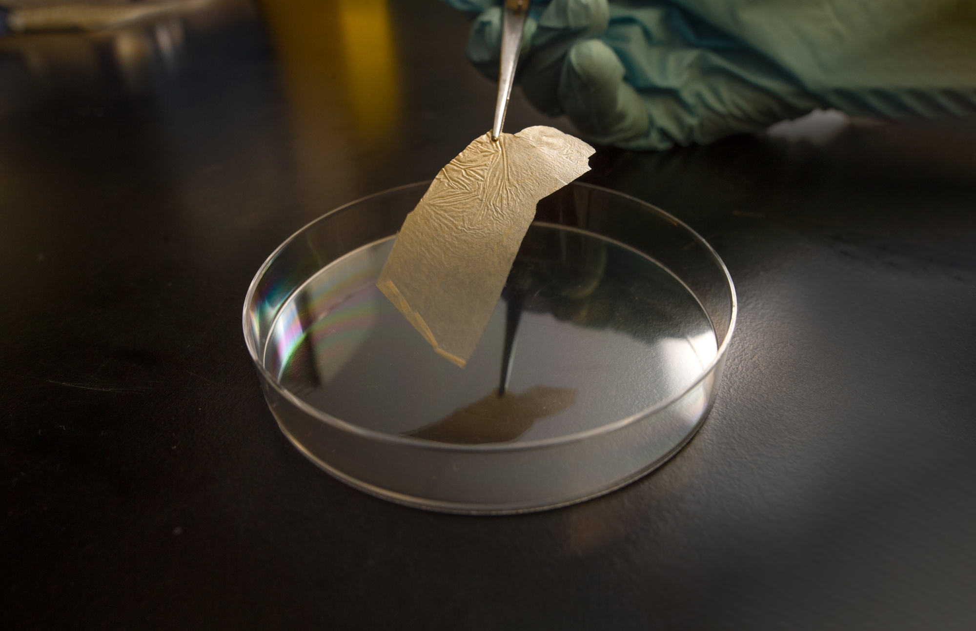 Membrane inspired by bamboo. Credit QUT