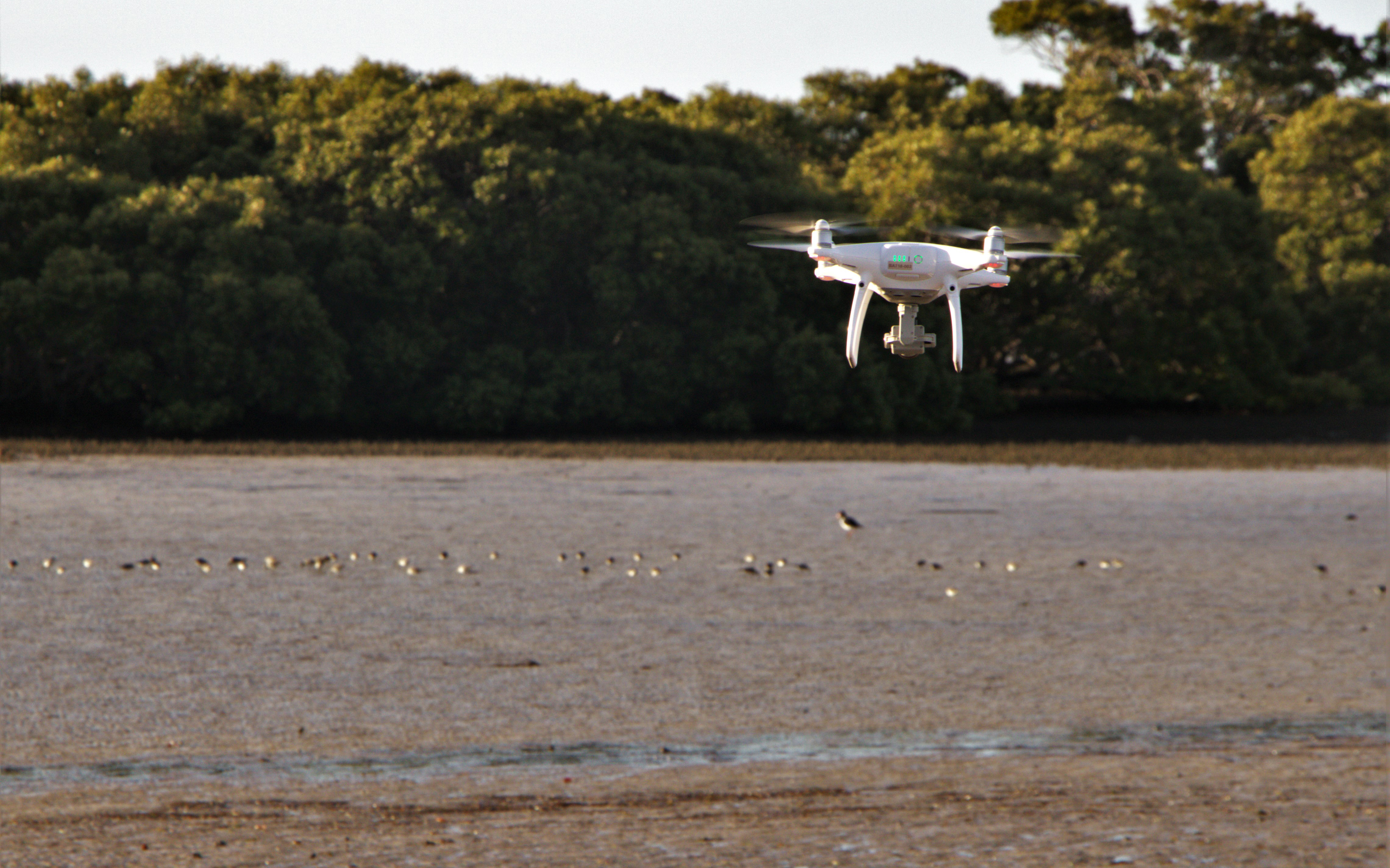 Credit: Joshua Wilson