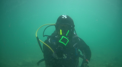 Copyright: Kvasić et al, 2024. 