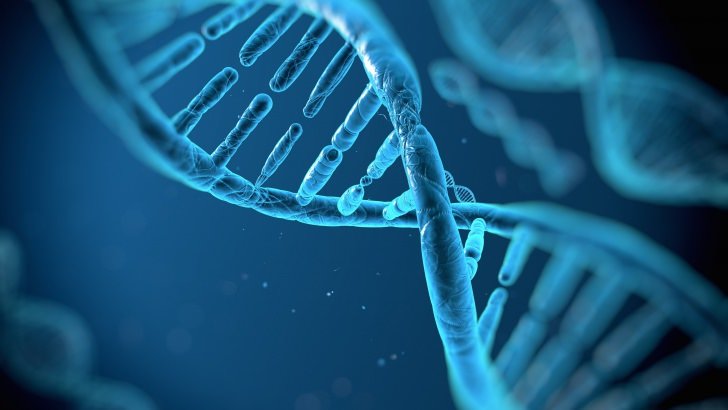 CC-0. https://www.hdwallpapers.net/3d/dna-structure-wallpaper-481.htm