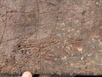Rippled layers in the Torridon rocks 