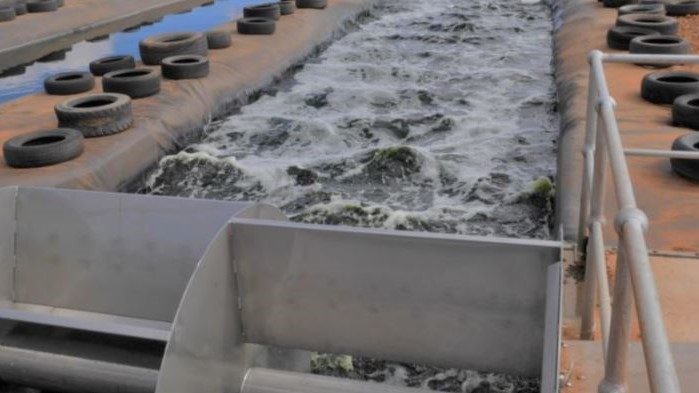 Photo courtesy Flinders University