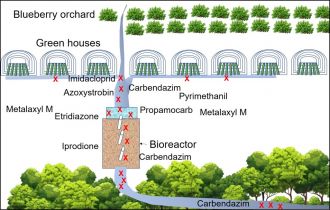 Graphical abstract_bioreactor greenhouse pesticides