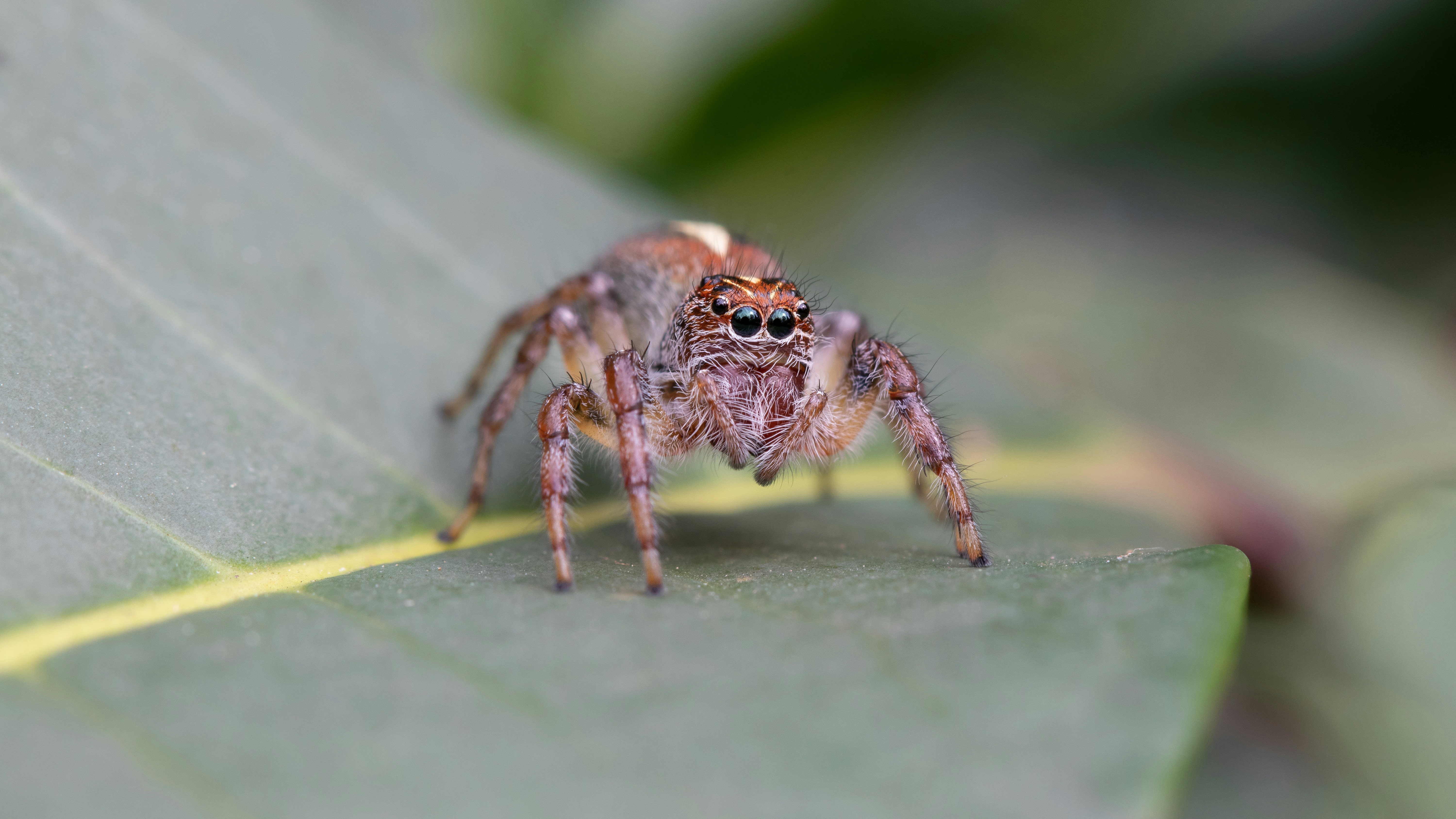 Photo by Filipe Resmini on Unsplash