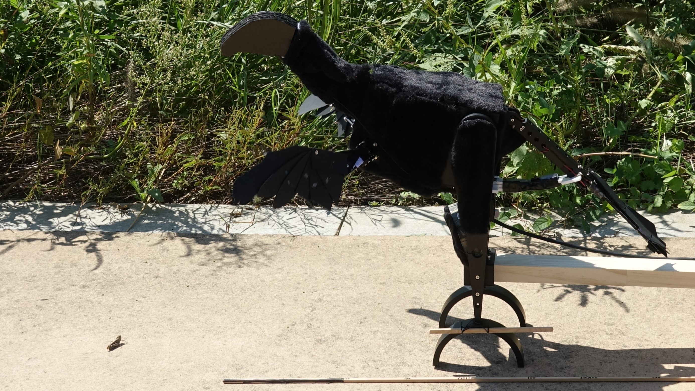 Jinseok Park, Piotr Jablonski et al.