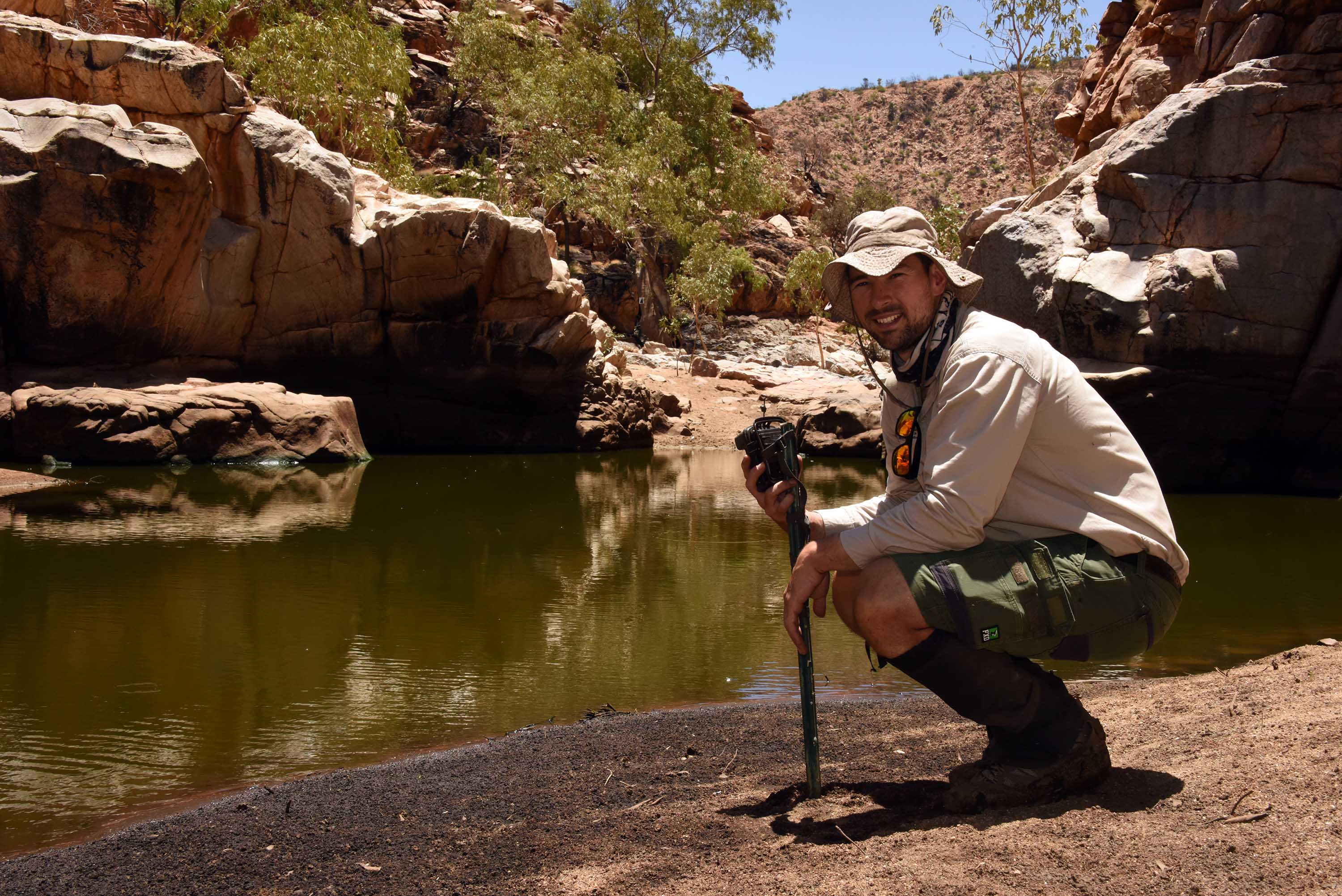 The white-plumed honeyeater has a reputation for being a territorial bird, but a study by Charles Darwin University (CDU) in Central Australia found the species forms surprising alliances with would-be competitors to access scarce water resources when temperatures heat up and the landscape dries out. 