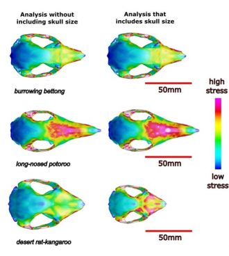 computer modelling 
