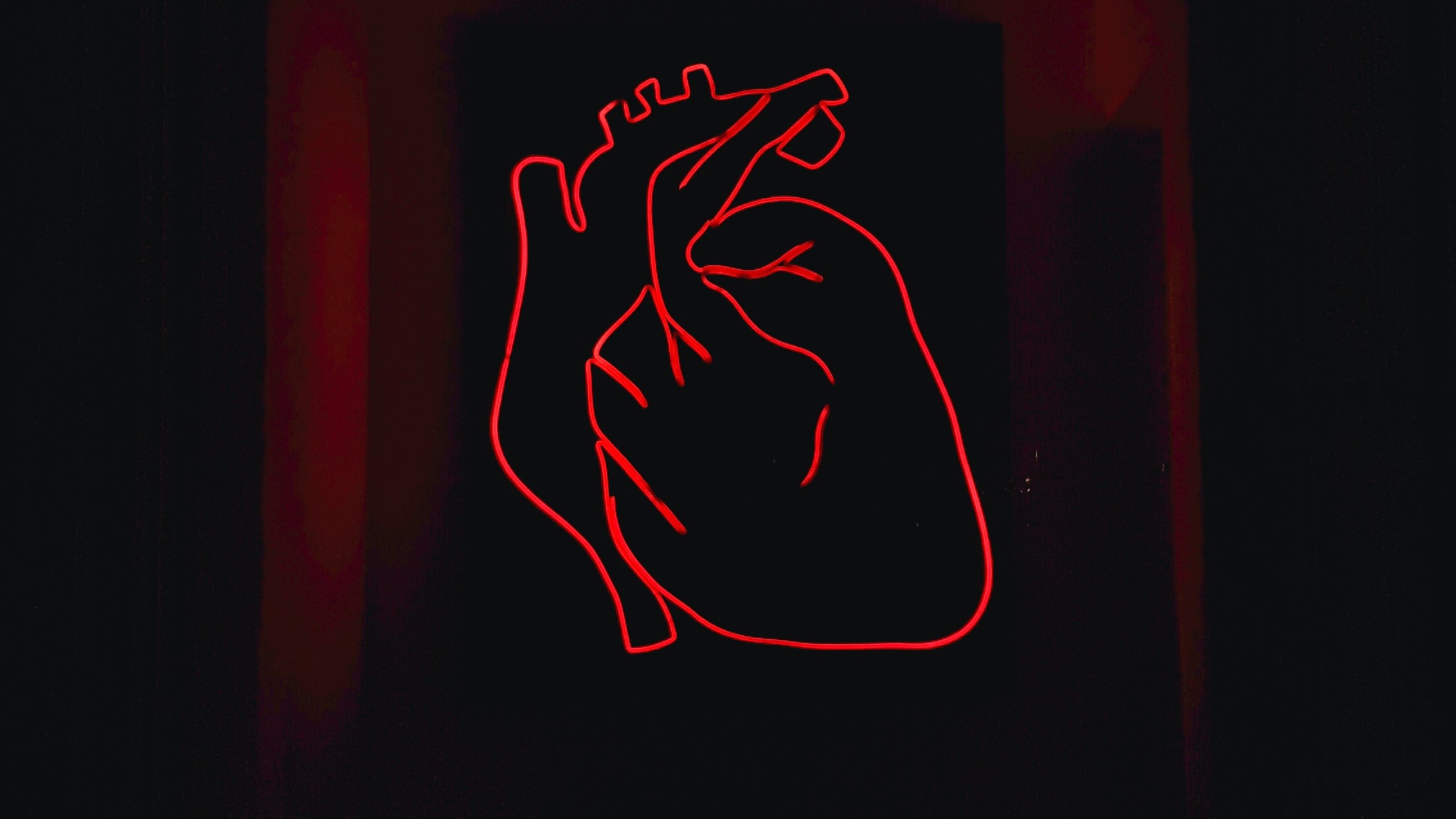 Photo by Alexandru Acea on Unsplash