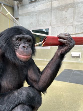 12-year-old Teco holding a length of pipe.