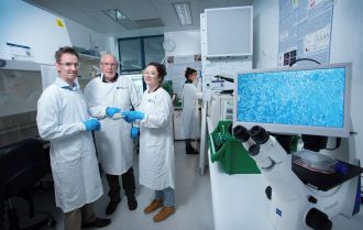 Booster shot being developed to avoid recapturing koalas to fight Chlamydia 