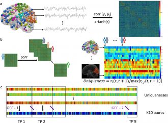 Longitudinal investigation of functional connectome individualisation 