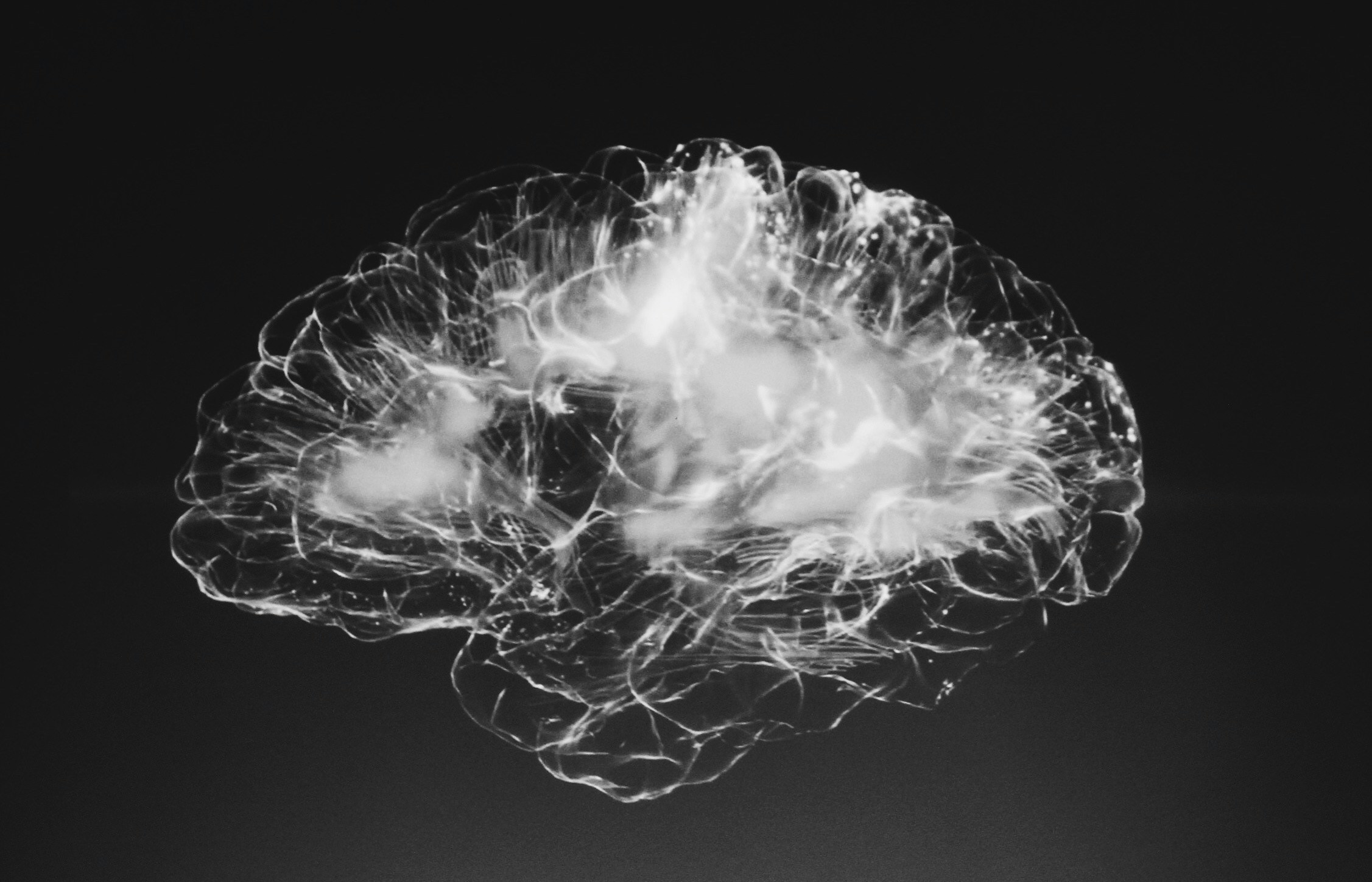 Photo by Alina Grubnyak on Unsplash