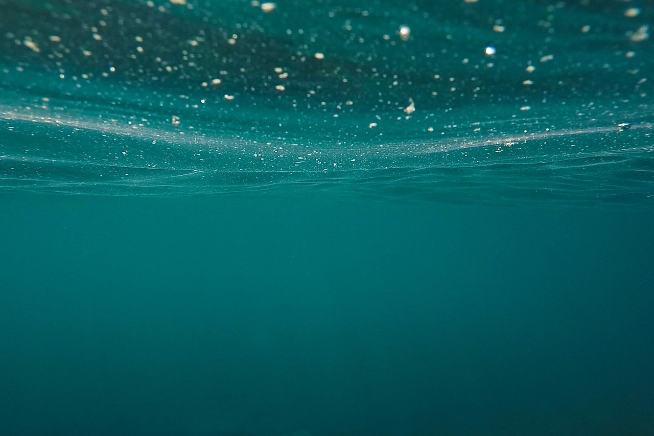Image by Pexels from Pixabay