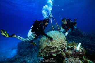 Drilling a coral skeletal core in the Coral Sea 