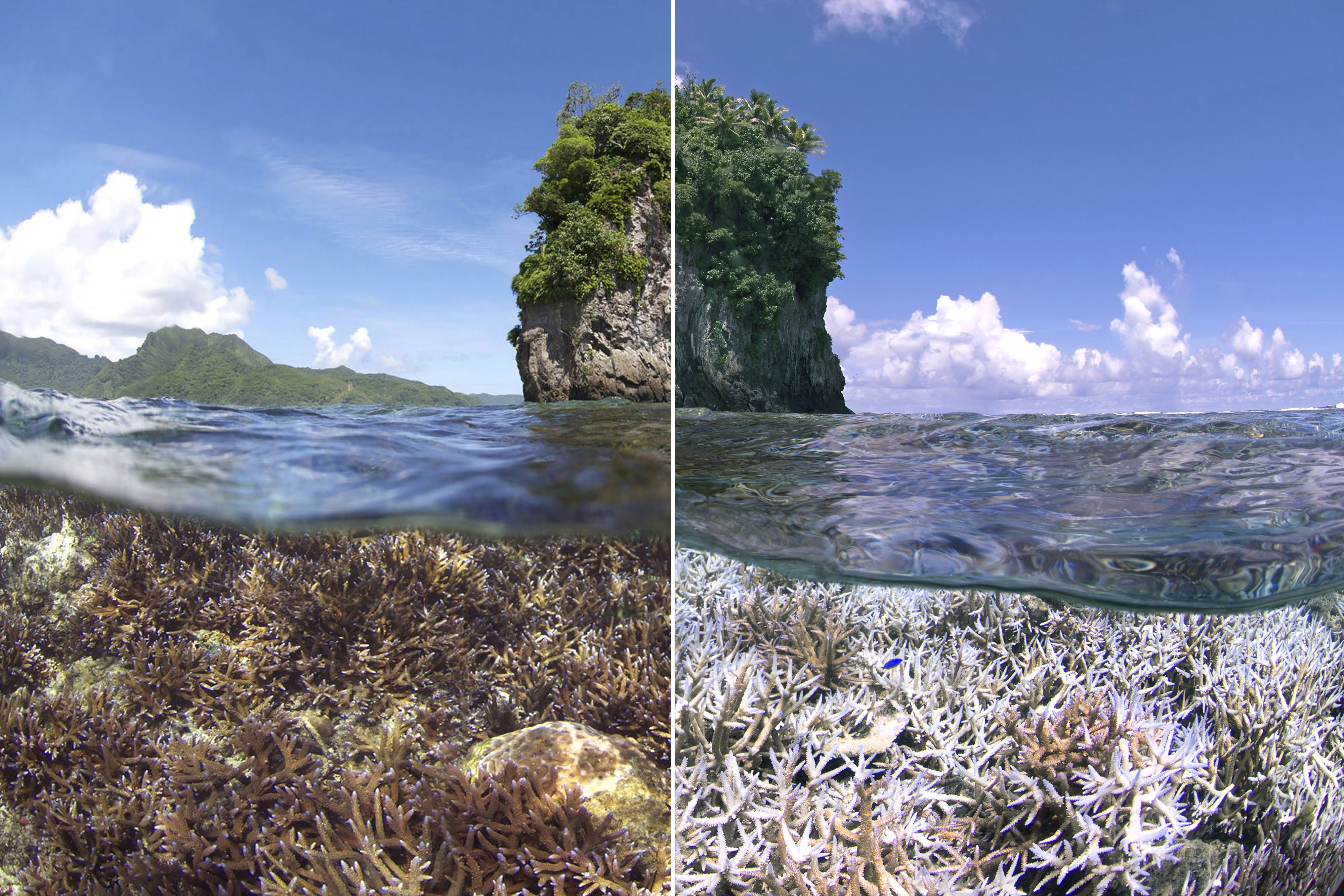 Credit: The Ocean Agency
