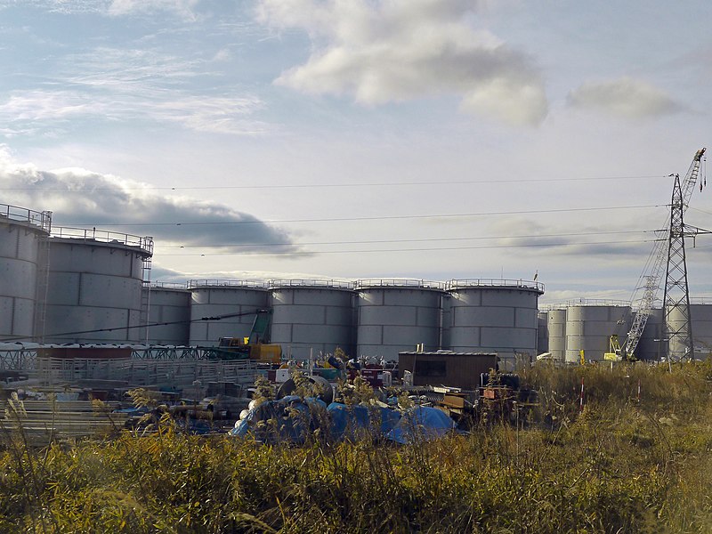 Gill Tudor / IAEA via Wikimedia Commons