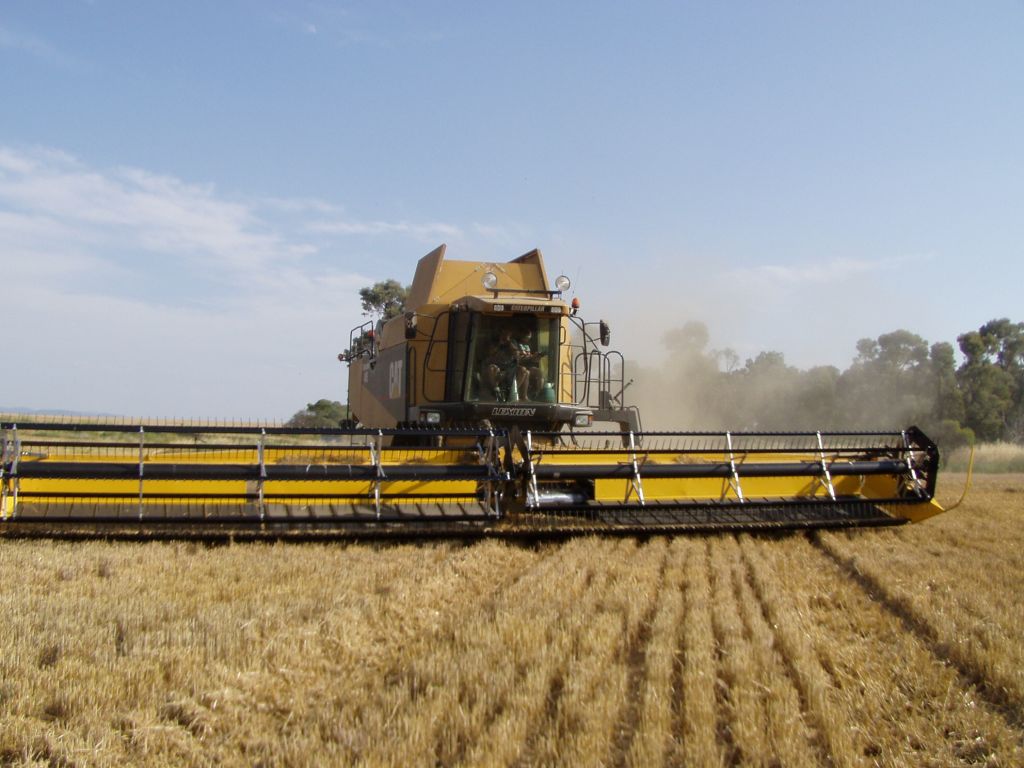 A huge 42 foot Caterpillar Lexion combine harvester in New South Wales. One of only 3 in Australia. Creative Commons - https://commons.wikimedia.org/wiki/File:CAT_combine_harvester.jpg - Attribution 2.0 Generic (CC BY 2.0) A huge 42 foot Caterpillar Lexion combine harvester in New South Wales. One of only 3 in Australia. Creative Commons - https://commons.wikimedia.org/wiki/File:CAT_combine_harvester.jpg - Attribution 2.0 Generic (CC BY 2.0)