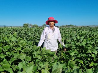 Dr Vijaya Singh in the field at Gatton