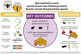 Graphical summary of the study