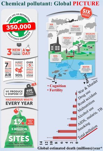Global pollution impact infographic