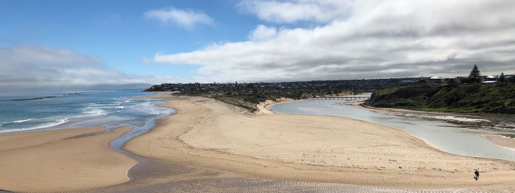 Photo courtesy S Leterme, Flinders University