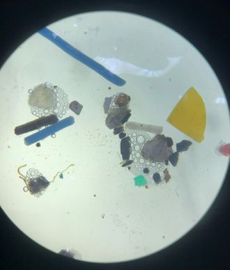 Microplastic samples