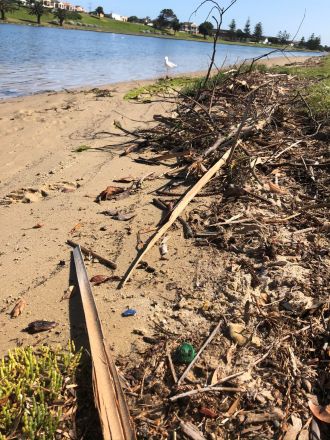 Plastics on river bank 