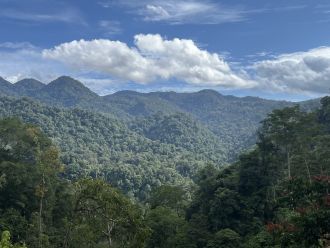 Image 1 – The submontane forests of Ulu Masen in Aceh, Indonesia.
