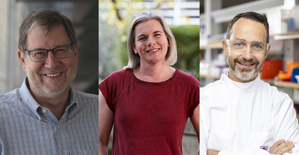 Co-chairs of the the roundtable (from left) Professor John Mattick, UNSW Sydney; Associate Professor Archa Fox, University of Western Australia; and Professor Trent Munro, University of Queensland.