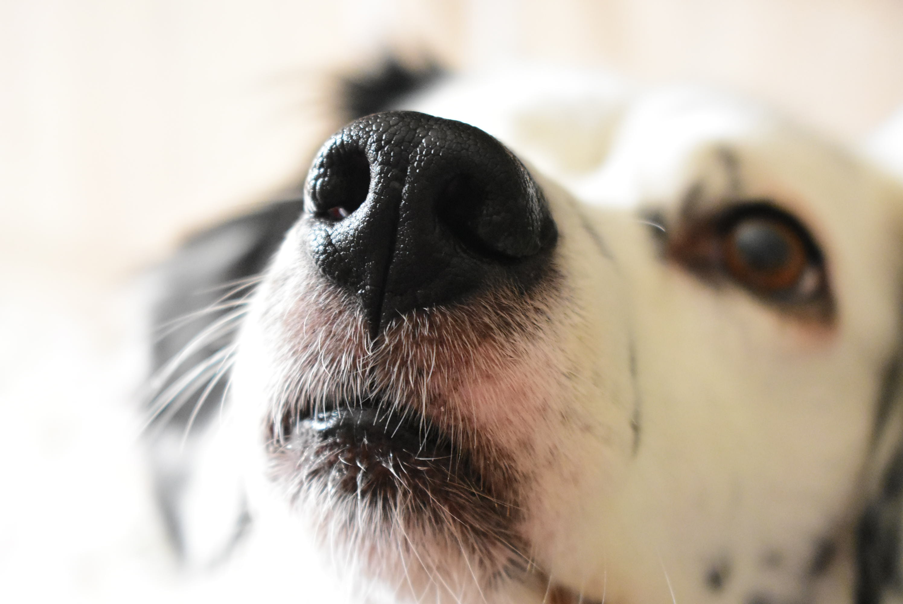 Photo by Evi Kalemi on Unsplash