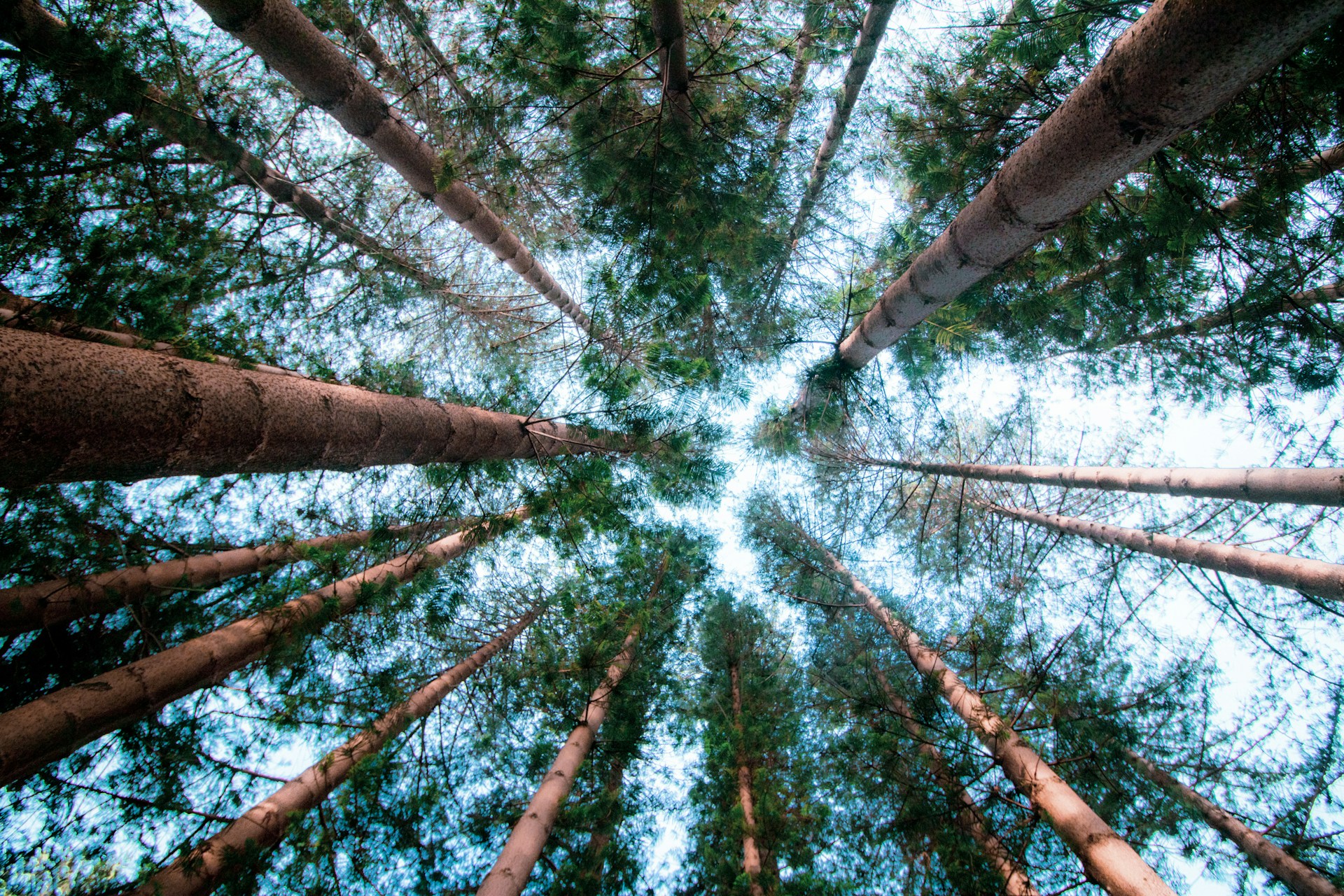 PHOTO: Harry Cunningham/Unsplash