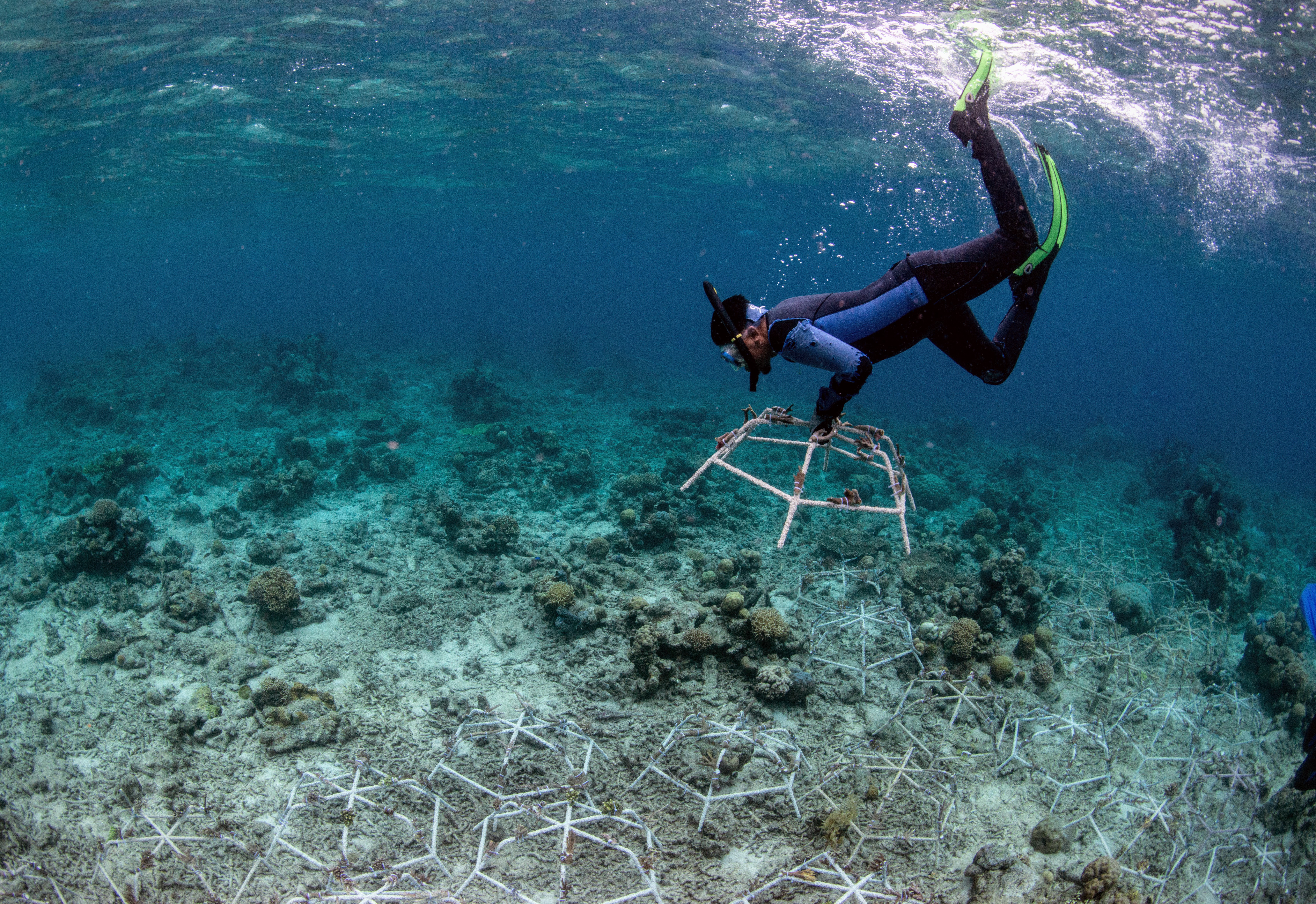 Reef Stars are installed in degraded areas to stabilise loose rubble and kickstart rapid coral growth (2) (credit The Ocean Agency)