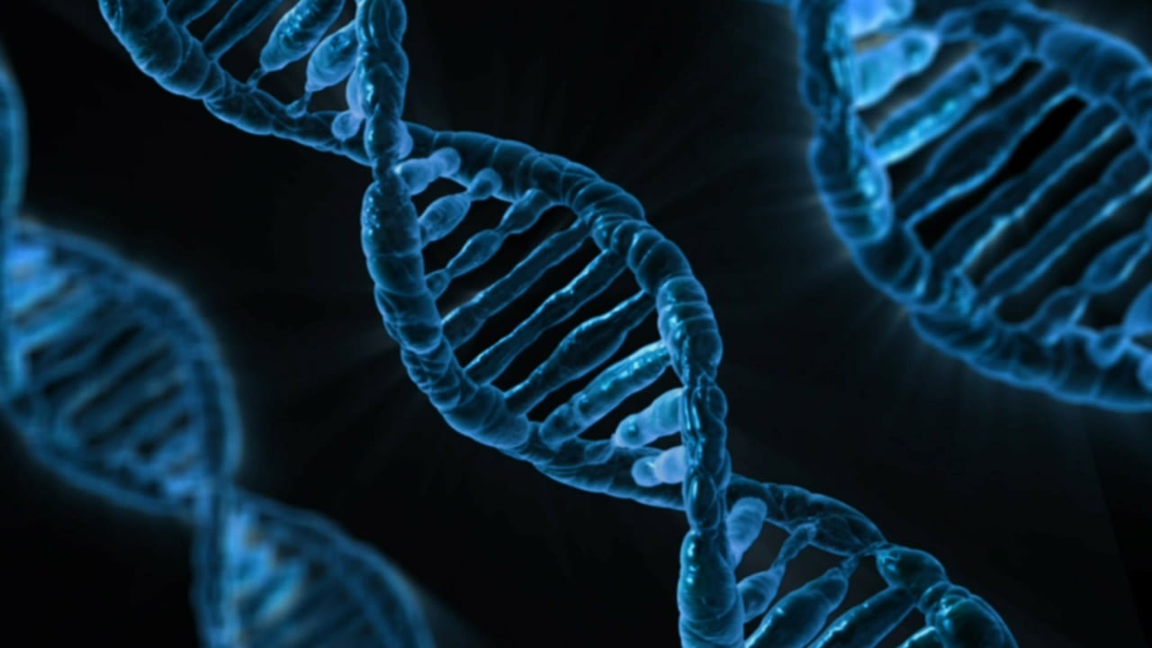 DNA is the genetic code of life. Damaged DNA is a sign of danger that can turn healthy cells into cancer cells. Photo: PublicDomainPictures/Pixabay