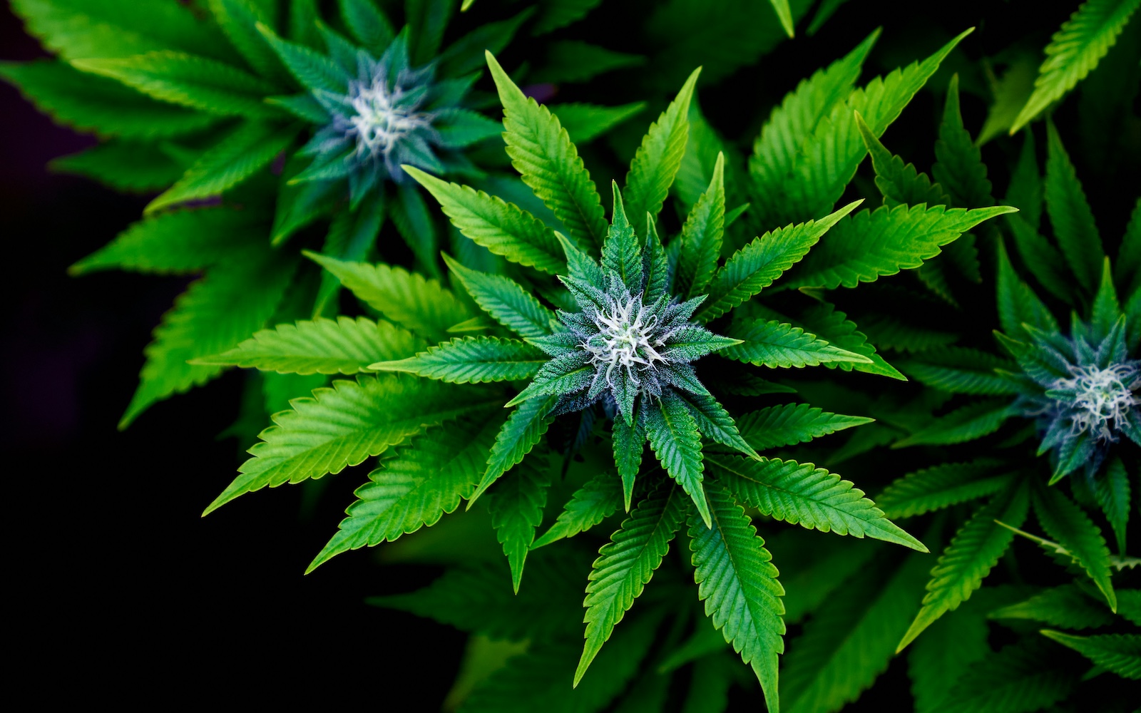 Photo by Alisher Sherali on Unsplash
