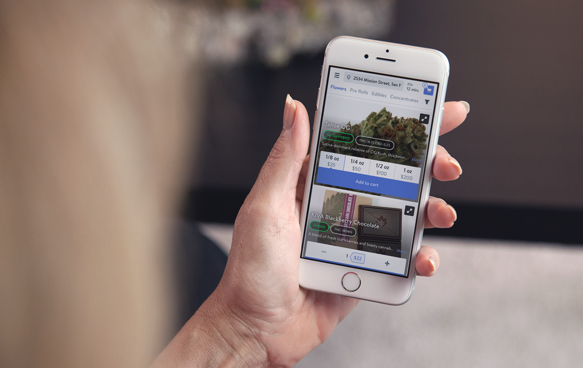 Jamieaze, CC BY-SA 4.0 <https://creativecommons.org/licenses/by-sa/4.0>, via Wikimedia Commons