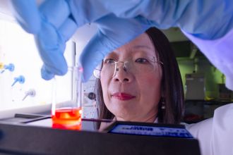 Professor Hongxia Wang