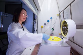 Professor Hongxia Wang