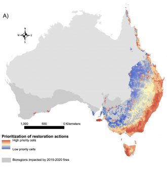 Broad areas for restoration action