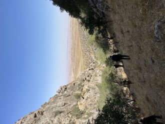 Field work Uzbekistan